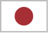 flag icon